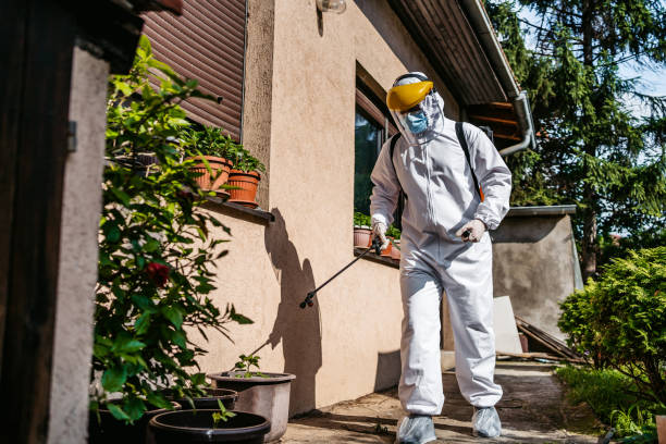 Best Best Pest Control Companies  in Conway, AR