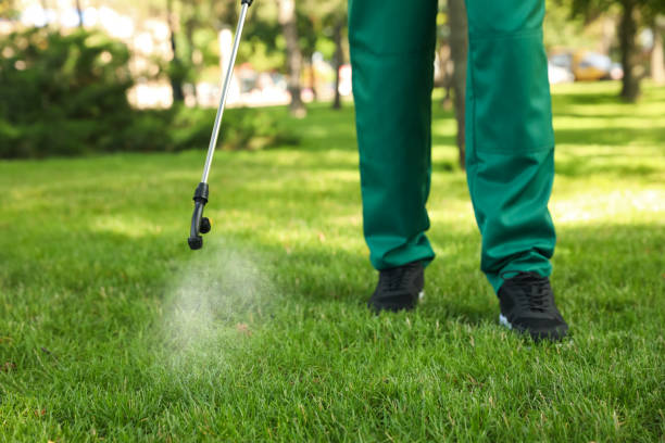 Best Termite Control Services  in Conway, AR