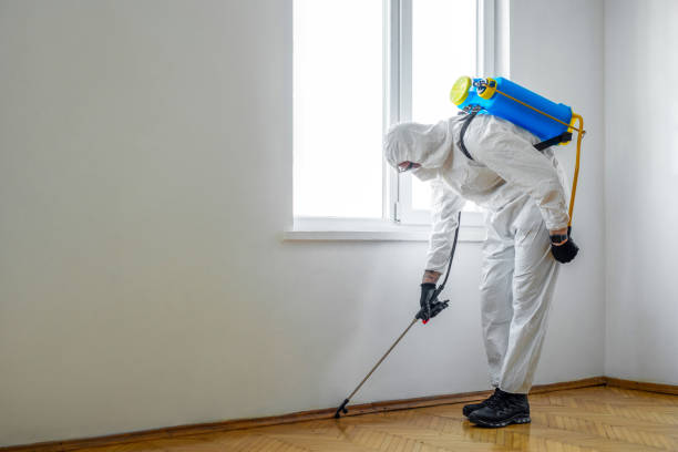 Wildlife Control Services in Conway, AR