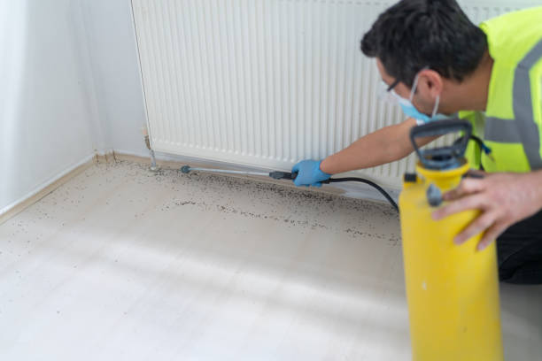 Best Ant Control Services  in Conway, AR