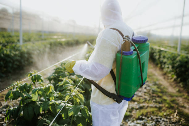 Best Local Pest Control Services  in Conway, AR